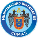 Municipalidad de Comas